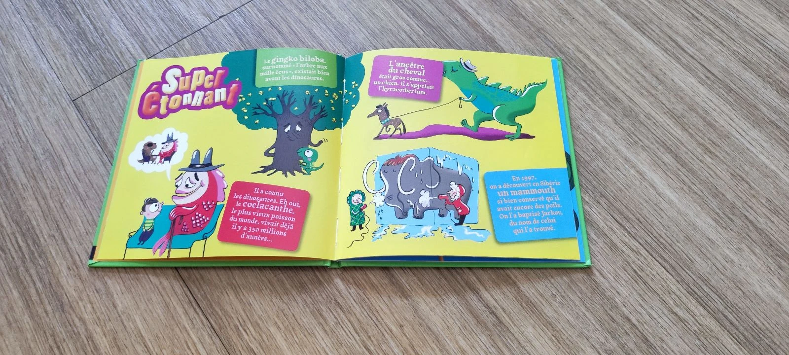 📚 Set van 3 boeken "Vragen/antwoorden" - Nathan 📚 – photo 13